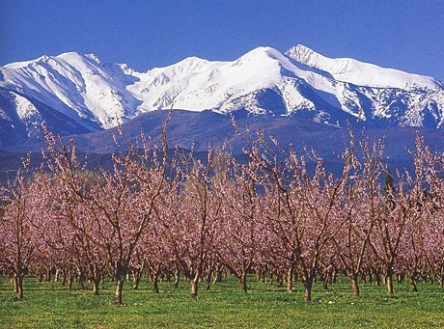 Sa majesté le Canigou