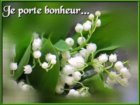 muguet